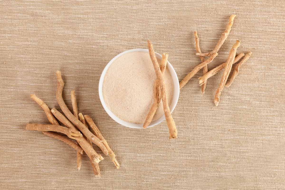 Korzeń ashwagandhy i proszek z korzenia