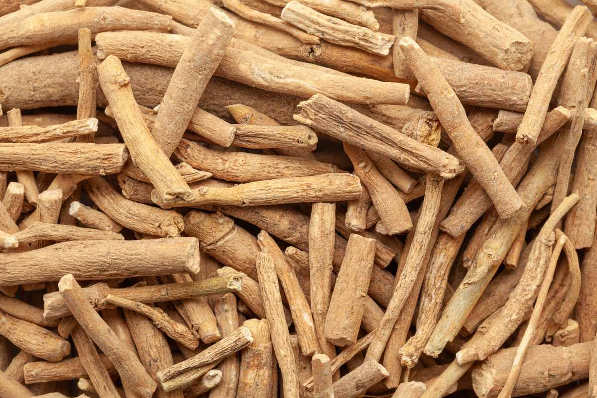 Suszony korzeń ashwagandhy Withania somnifera