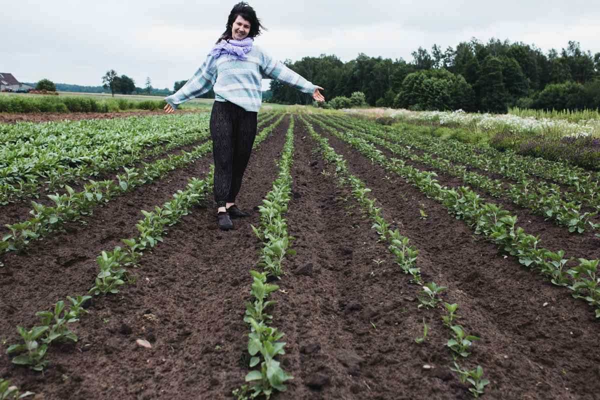 Werka stojąca w polu ashwagandhy