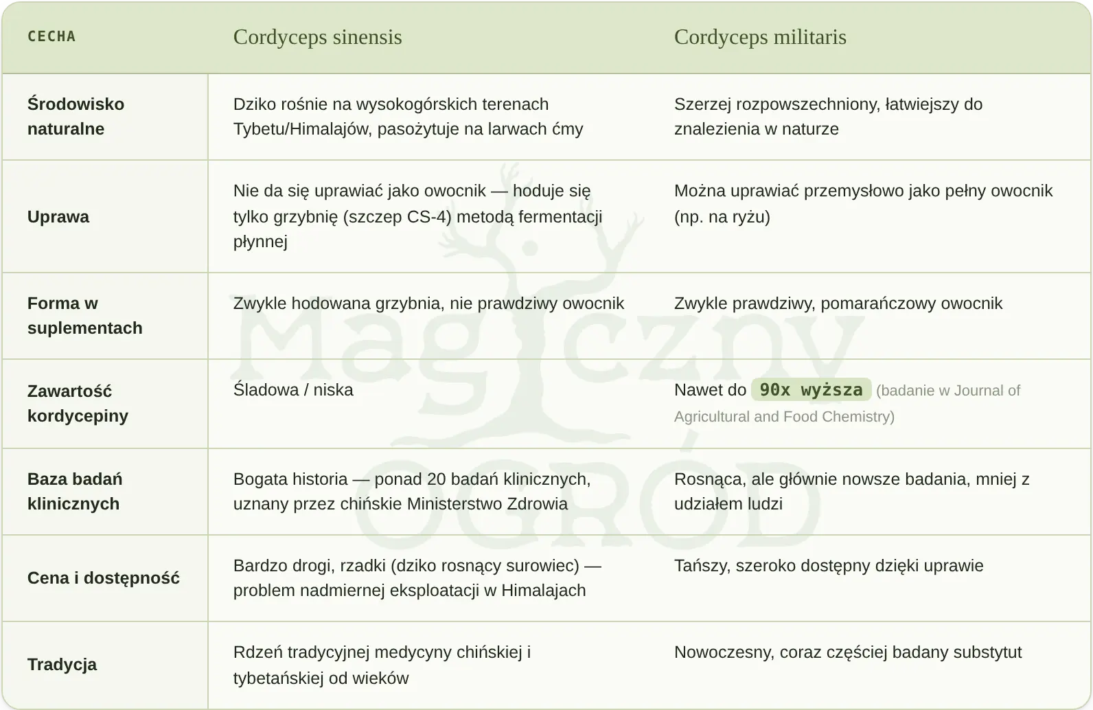 cordyceps sinensis vs militaris różnice infografikai