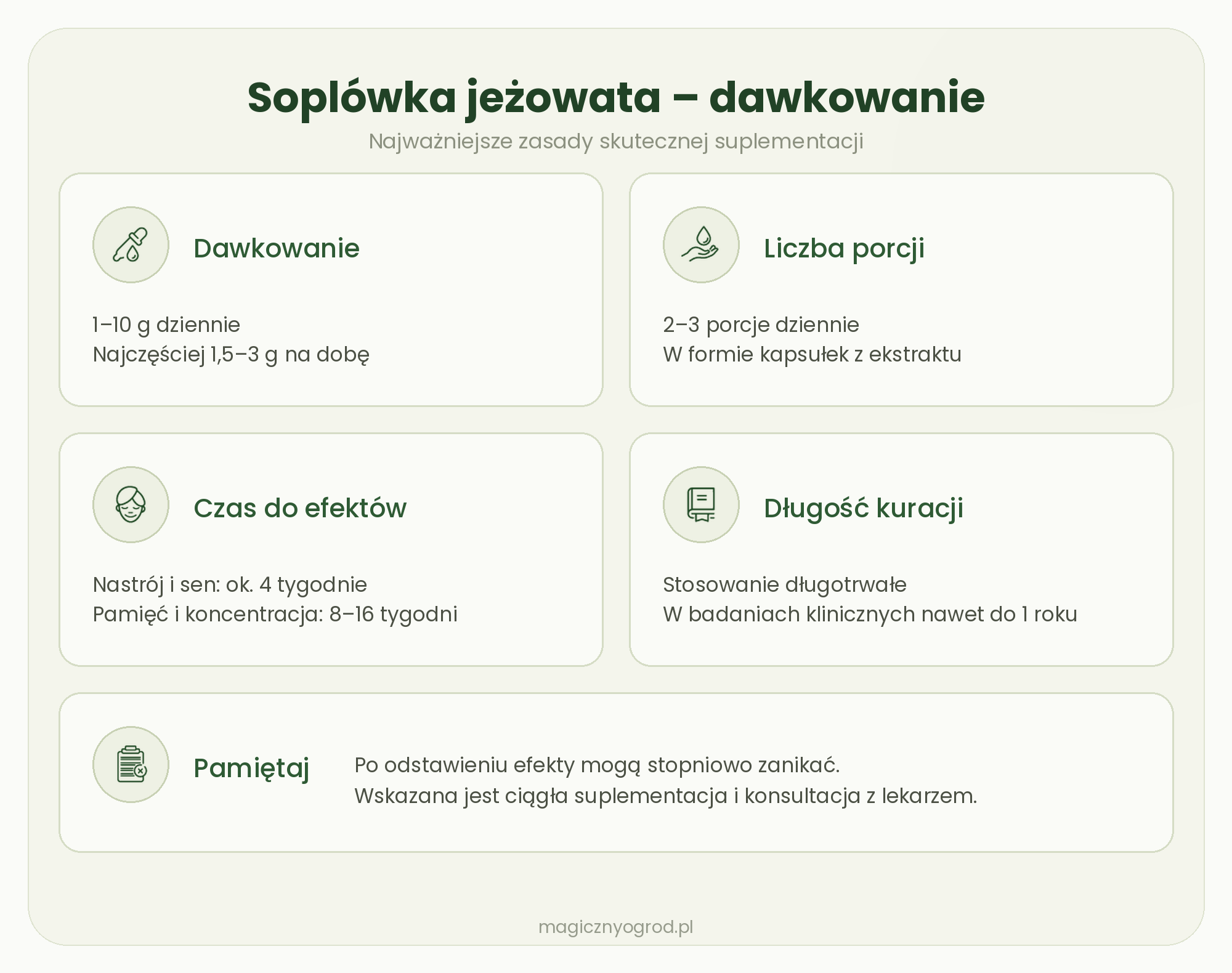 soplówka jeżowata dawkowanie infografika